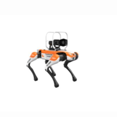 Robot chó bốn chân tuần tra khu du lịch